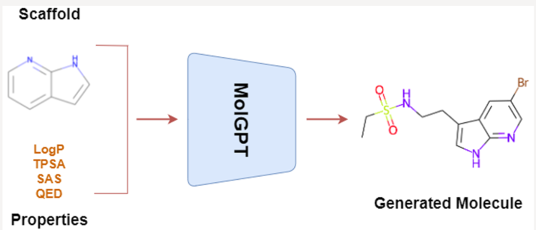 image-20240805210342420